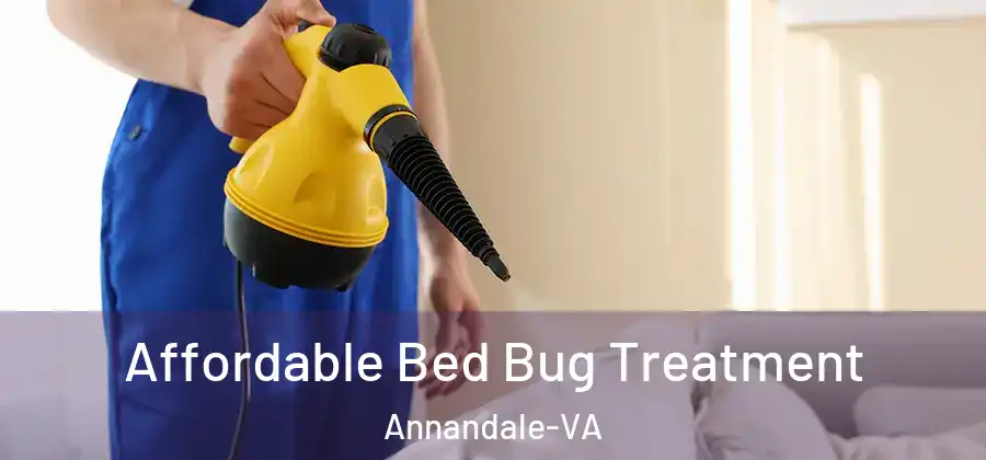 Affordable Bed Bug Treatment Annandale-VA