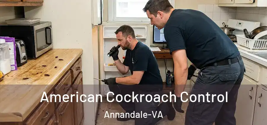 American Cockroach Control Annandale-VA