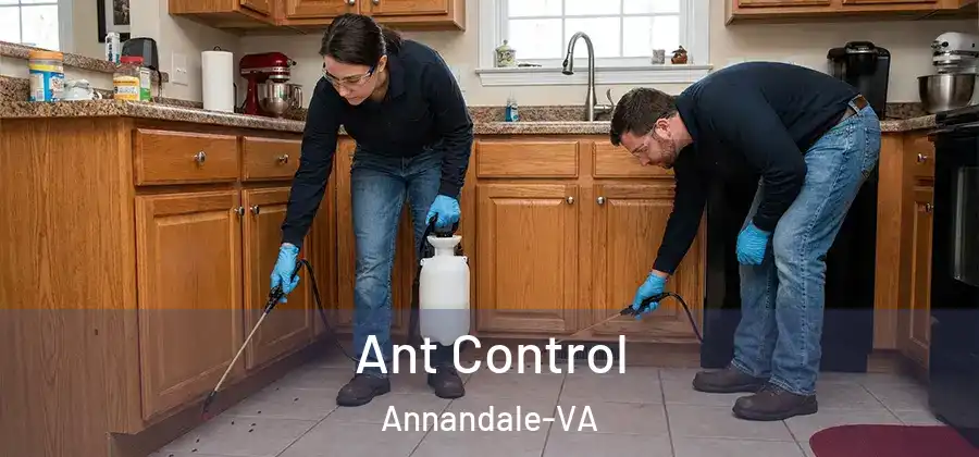 Ant Control Annandale-VA