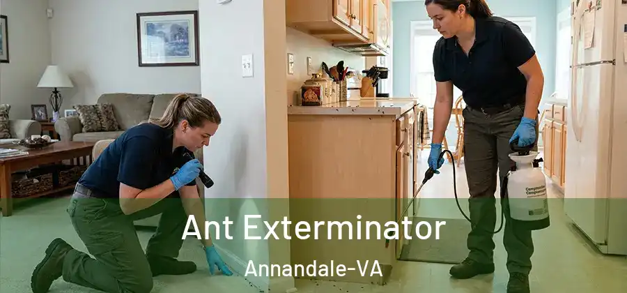 Ant Exterminator Annandale-VA