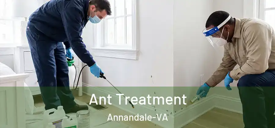 Ant Treatment Annandale-VA