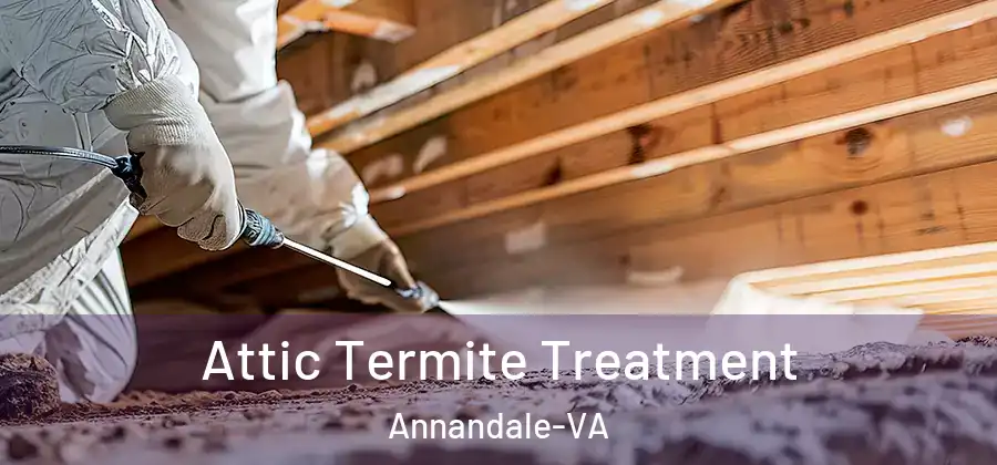 Attic Termite Treatment Annandale-VA