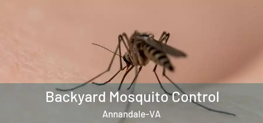 Backyard Mosquito Control Annandale-VA