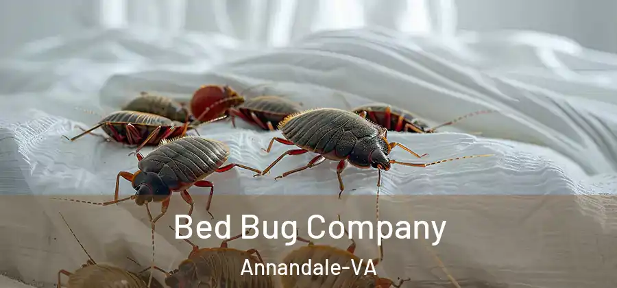Bed Bug Company Annandale-VA