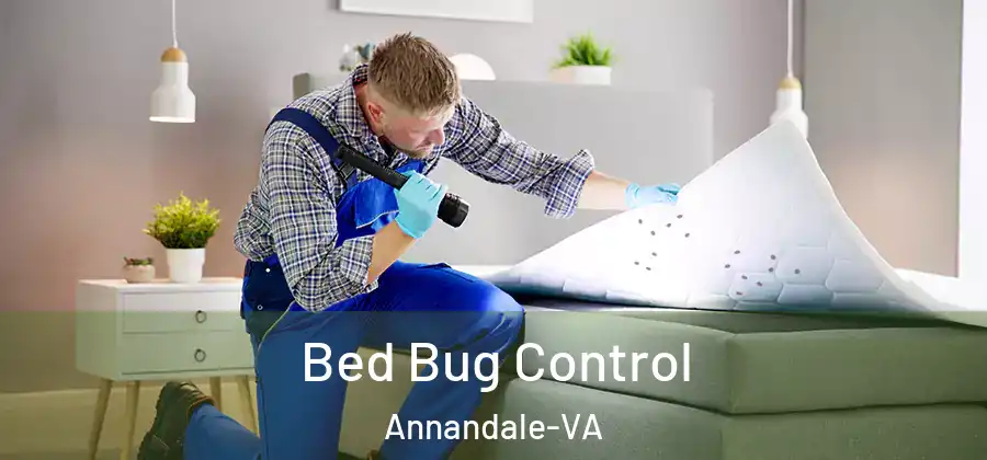 Bed Bug Control Annandale-VA