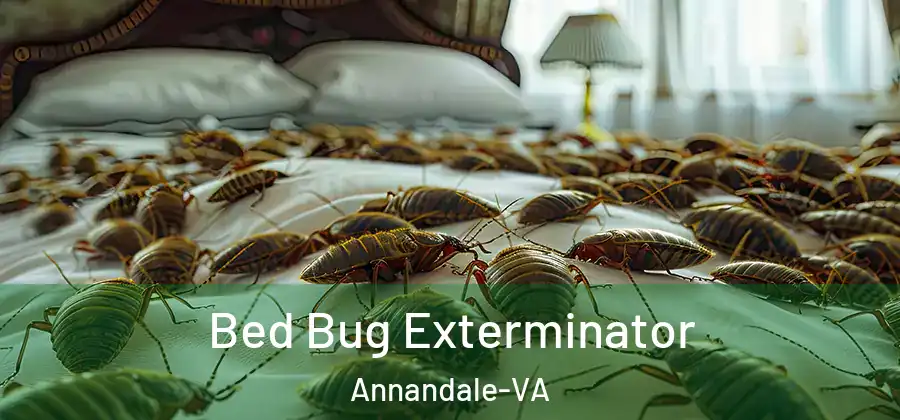 Bed Bug Exterminator Annandale-VA