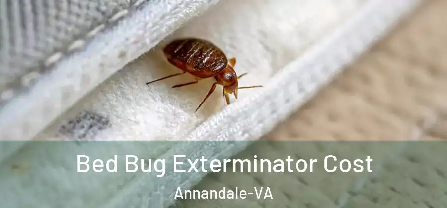 Bed Bug Exterminator Cost Annandale-VA