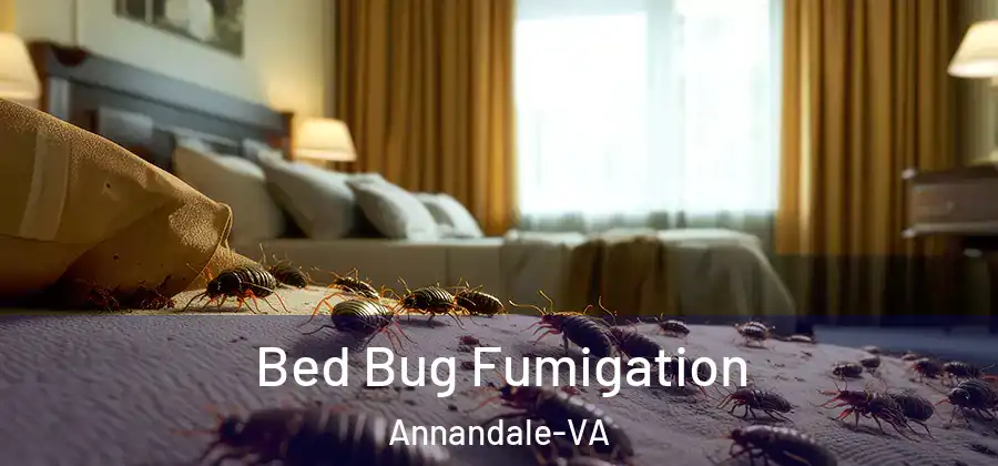 Bed Bug Fumigation Annandale-VA