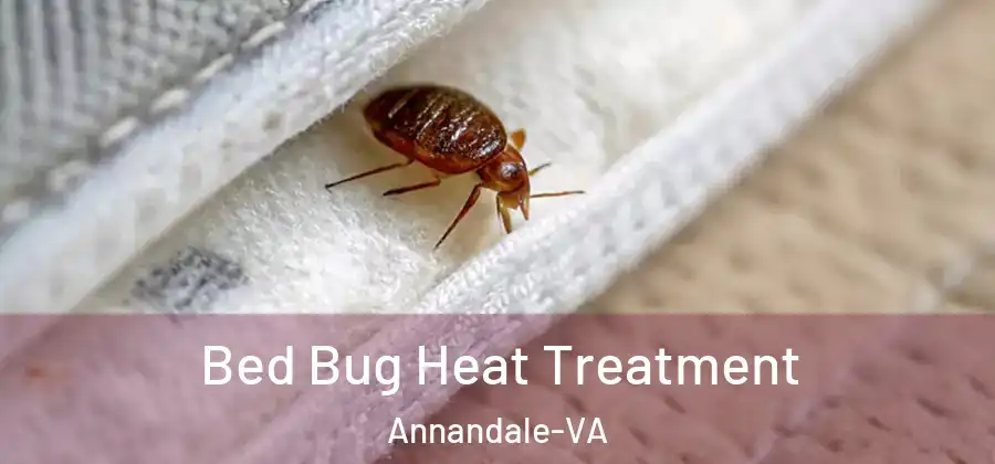 Bed Bug Heat Treatment Annandale-VA