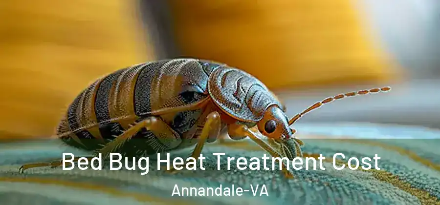 Bed Bug Heat Treatment Cost Annandale-VA
