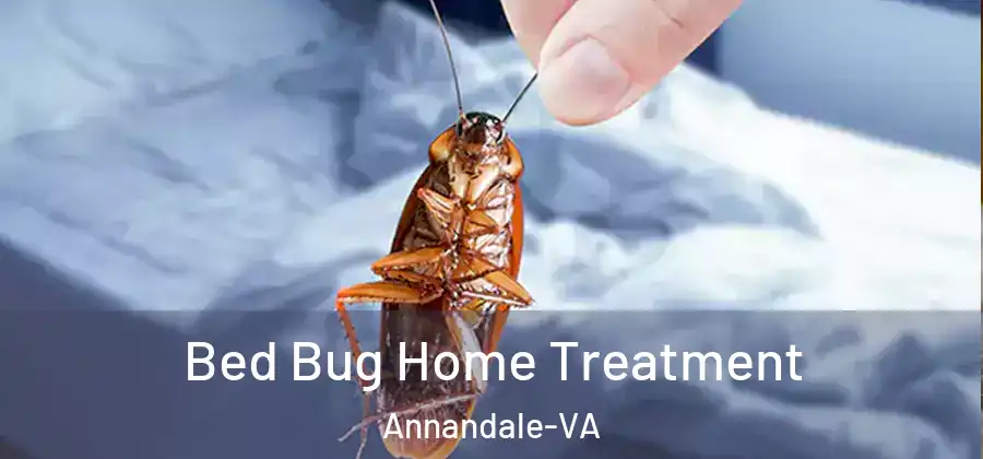 Bed Bug Home Treatment Annandale-VA