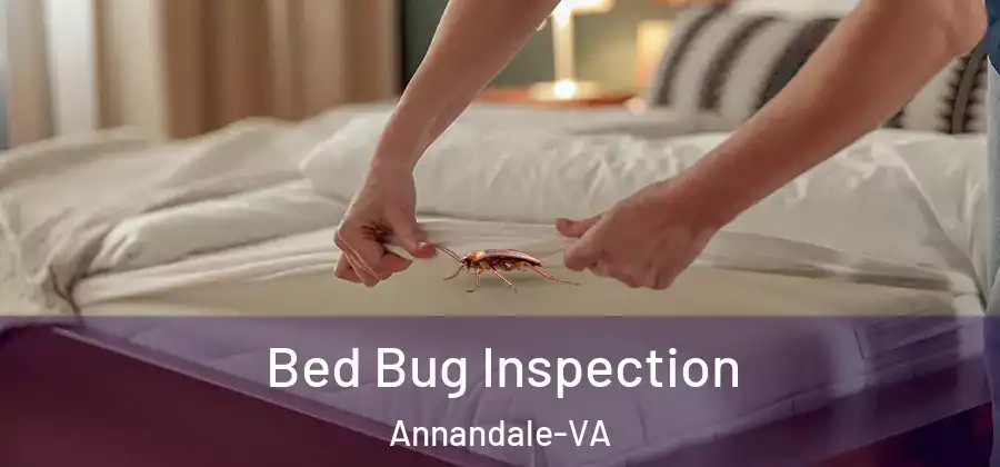 Bed Bug Inspection Annandale-VA