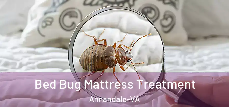 Bed Bug Mattress Treatment Annandale-VA