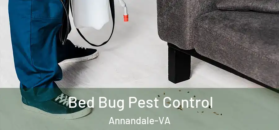 Bed Bug Pest Control Annandale-VA