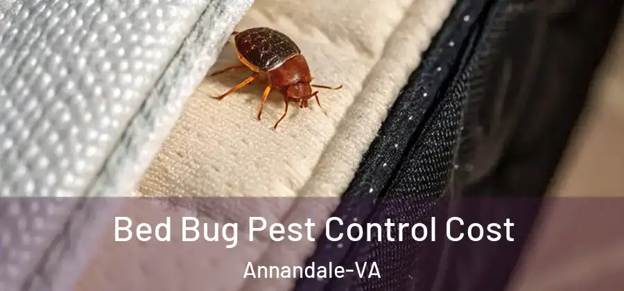 Bed Bug Pest Control Cost Annandale-VA