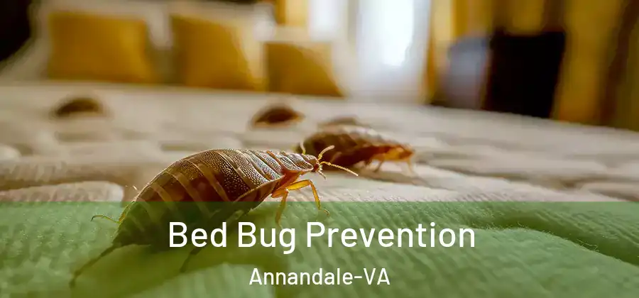 Bed Bug Prevention Annandale-VA