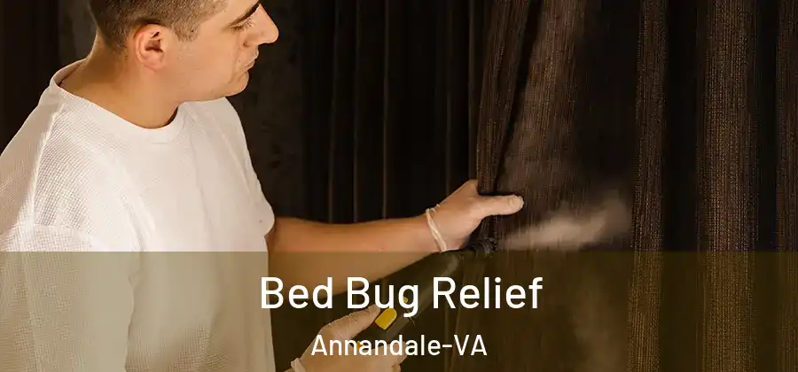 Bed Bug Relief Annandale-VA