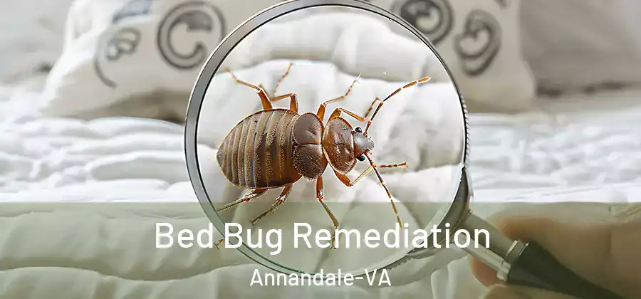  Bed Bug Remediation Annandale-VA