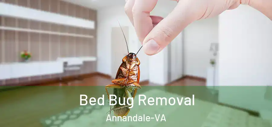 Bed Bug Removal Annandale-VA