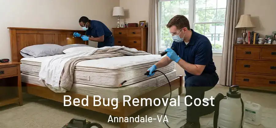 Bed Bug Removal Cost Annandale-VA