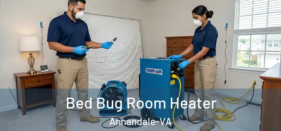 Bed Bug Room Heater Annandale-VA