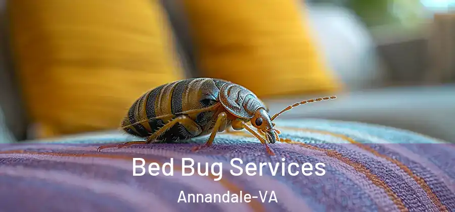 Bed Bug Services Annandale-VA