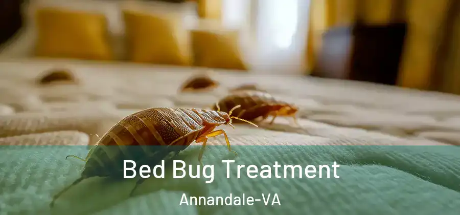 Bed Bug Treatment Annandale-VA
