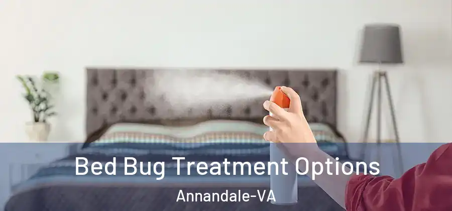 Bed Bug Treatment Options Annandale-VA