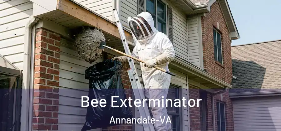 Bee Exterminator Annandale-VA