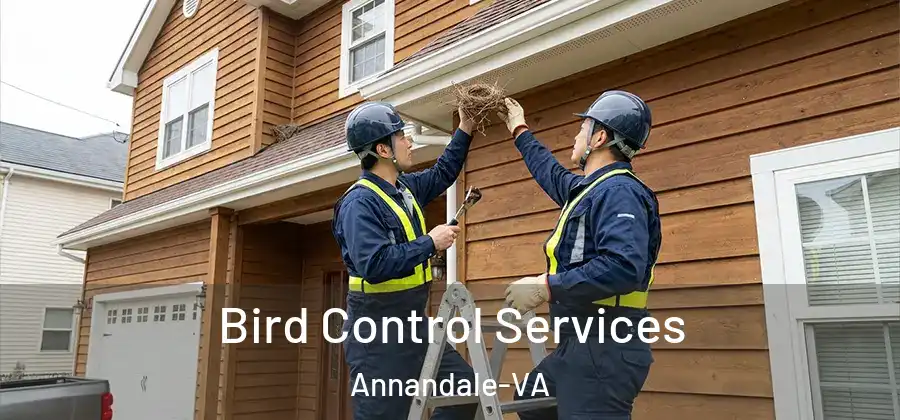Bird Control Services Annandale-VA