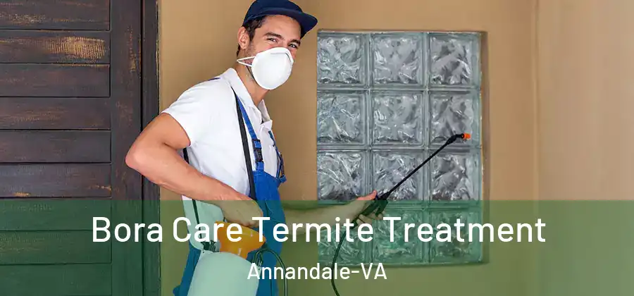 Bora Care Termite Treatment Annandale-VA