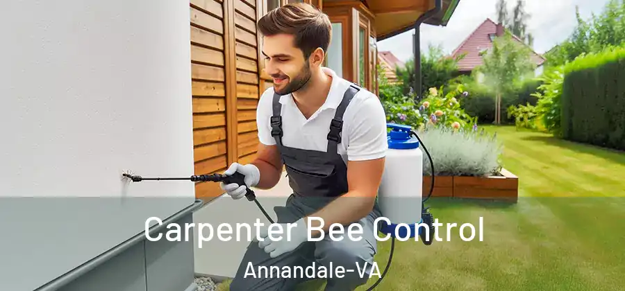 Carpenter Bee Control Annandale-VA