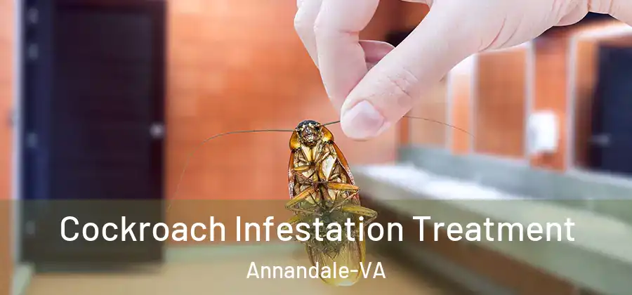 Cockroach Infestation Treatment Annandale-VA