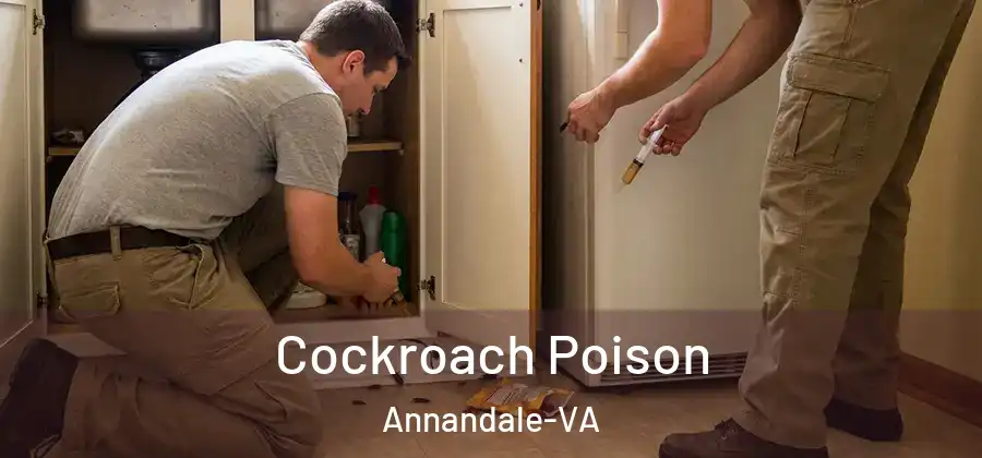 Cockroach Poison Annandale-VA