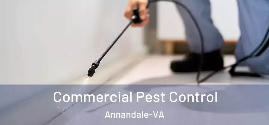Commercial Pest Control Annandale-VA