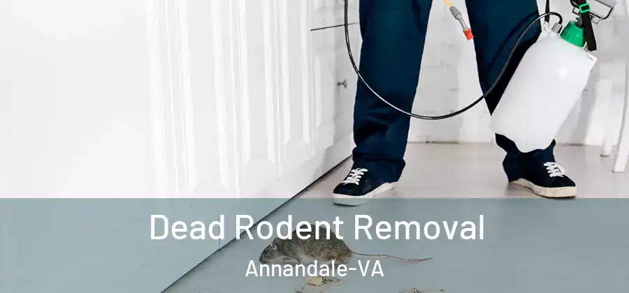  Dead Rodent Removal Annandale-VA