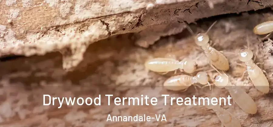 Drywood Termite Treatment Annandale-VA