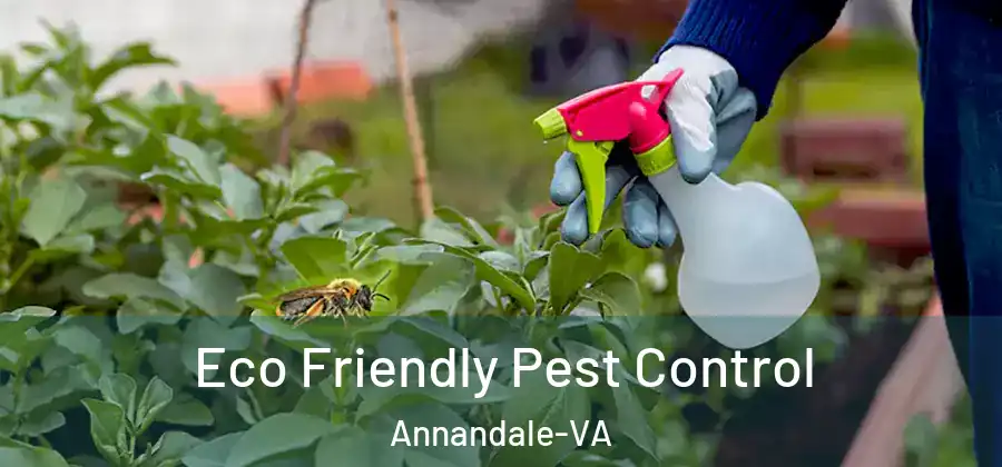 Eco Friendly Pest Control Annandale-VA