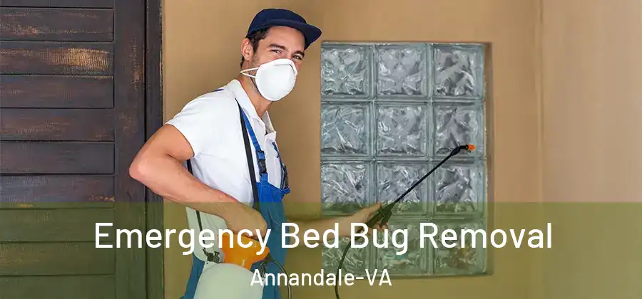Emergency Bed Bug Removal Annandale-VA