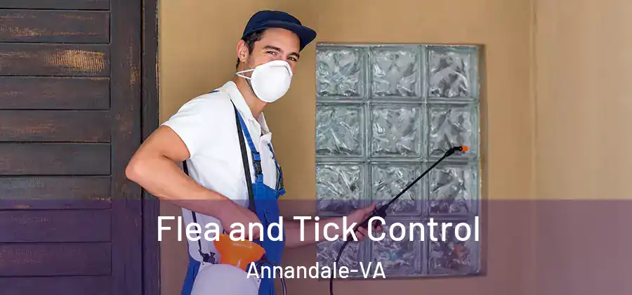 Flea and Tick Control Annandale-VA