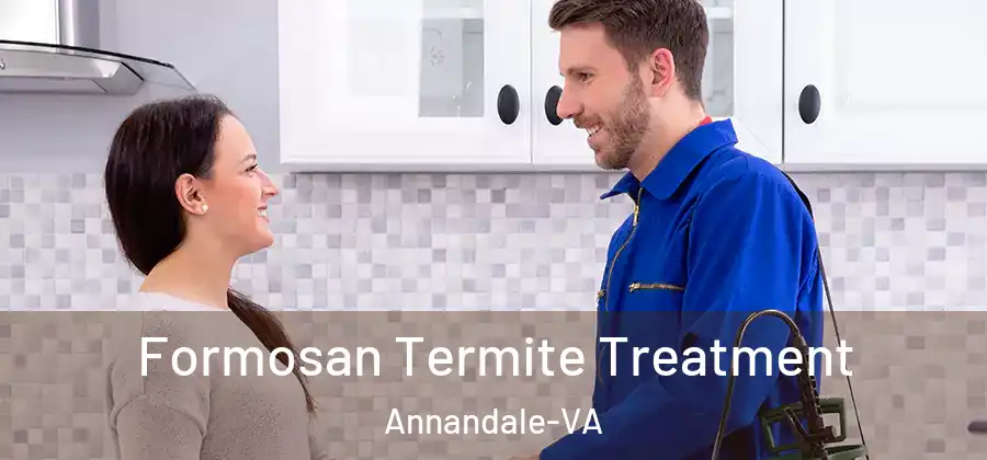 Formosan Termite Treatment Annandale-VA