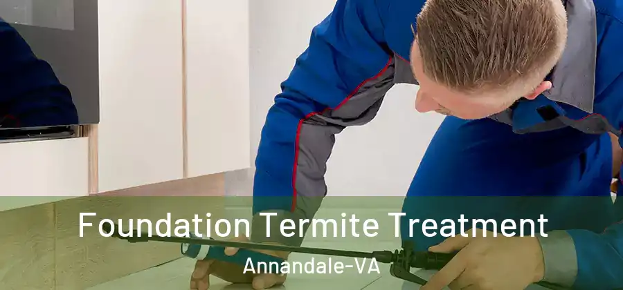 Foundation Termite Treatment Annandale-VA