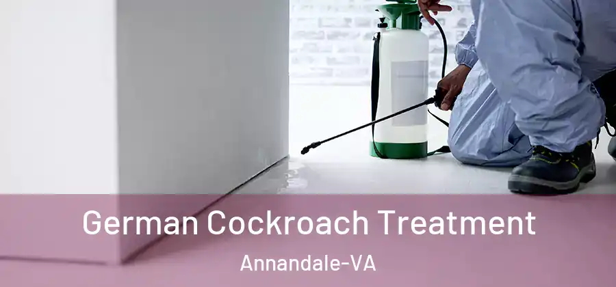 German Cockroach Treatment Annandale-VA