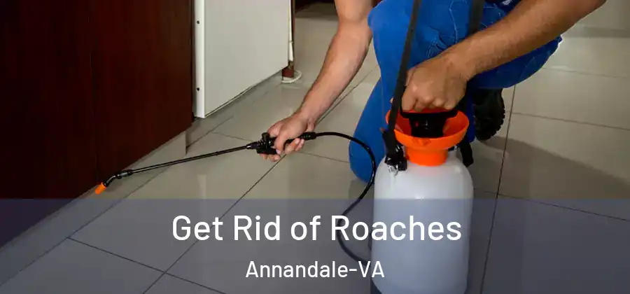 Get Rid of Roaches Annandale-VA