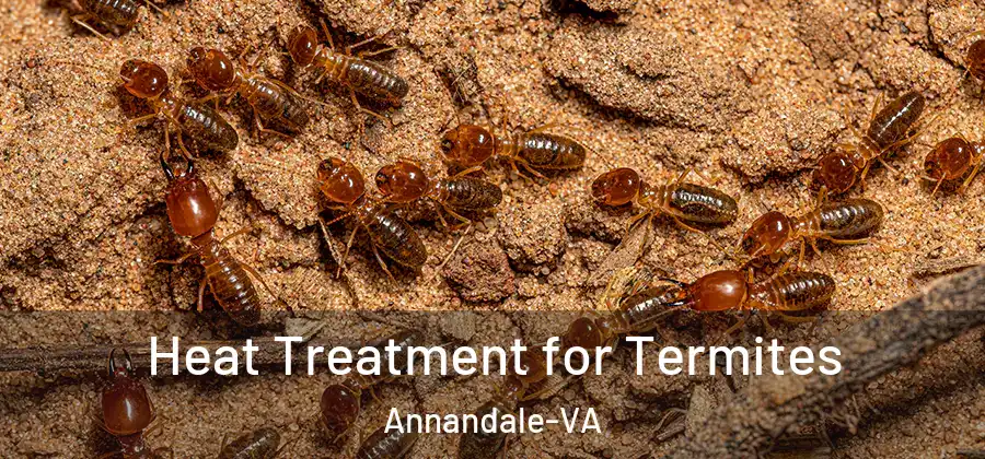Heat Treatment for Termites Annandale-VA