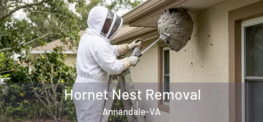 Hornet Nest Removal Annandale-VA