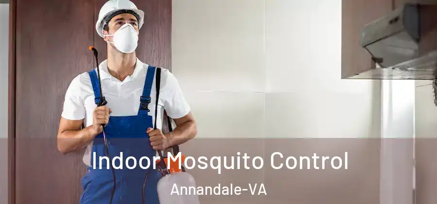Indoor Mosquito Control Annandale-VA