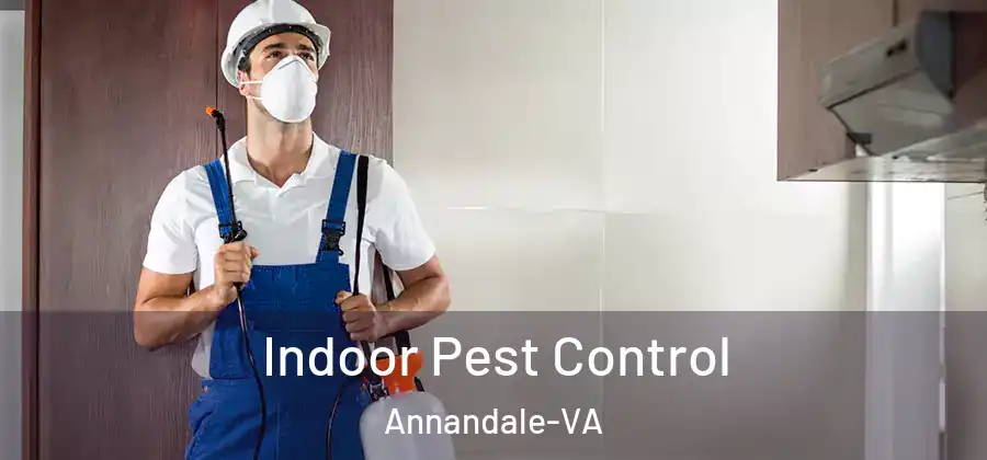 Indoor Pest Control Annandale-VA