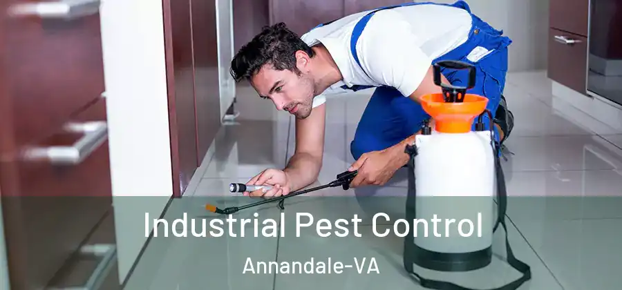 Industrial Pest Control Annandale-VA