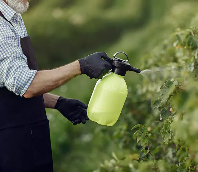 Your Proven Mosquito Treatment Company in Annandale, VA
